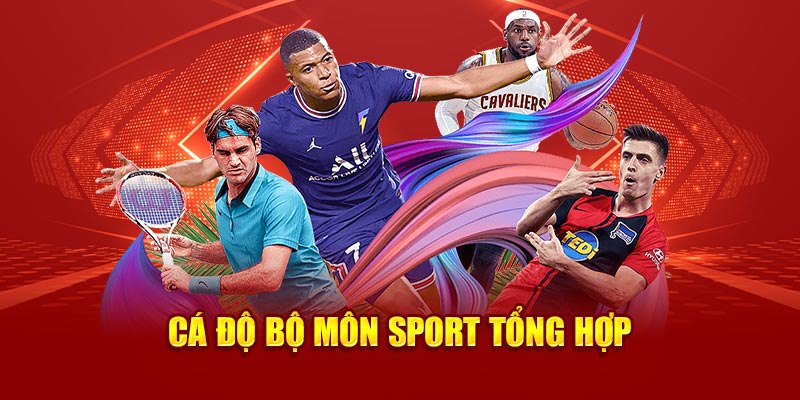 Cá độ bộ môn sport tổng hợp