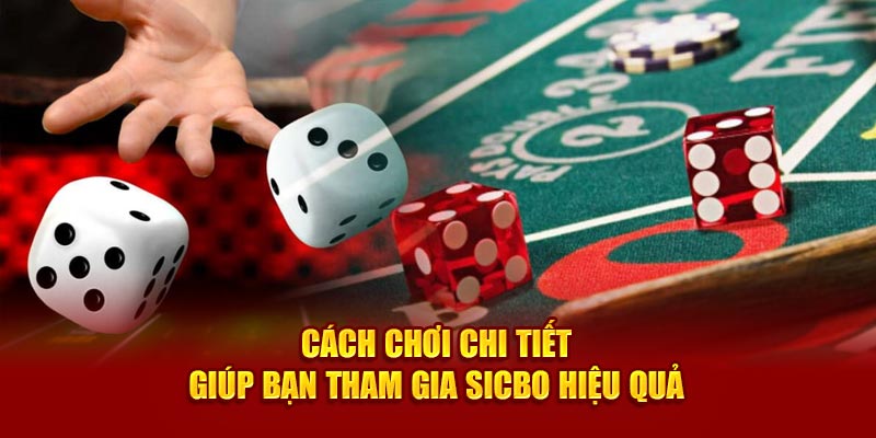 Cách chơi chi tiết giúp bạn tham gia Sicbo hiệu quả