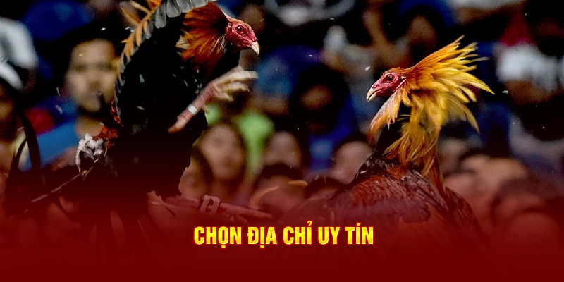 Chọn địa chỉ uy tín