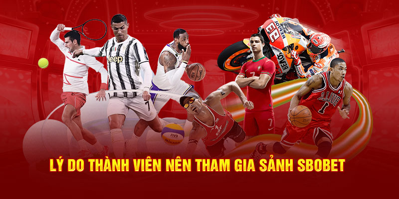 Lý do thành viên nên tham gia sảnh sbobet