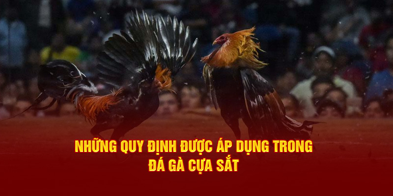 Những quy định được áp dụng trong đá gà cựa sắt 