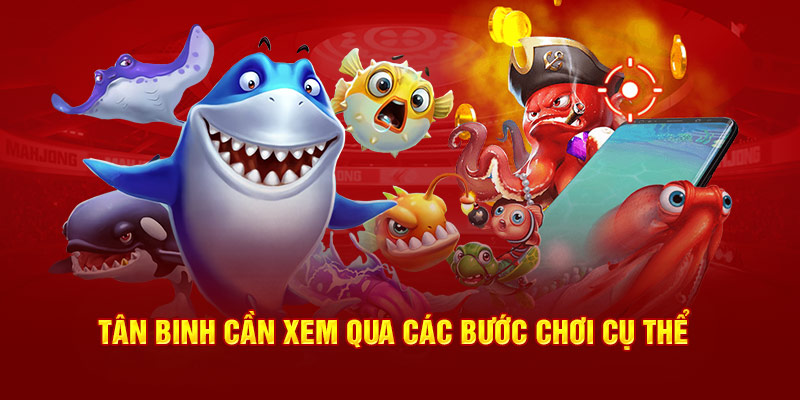 Tân binh cần xem qua các bước chơi cụ thể