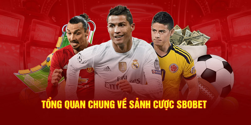 Tổng quan chung về sảnh cược Sbobet