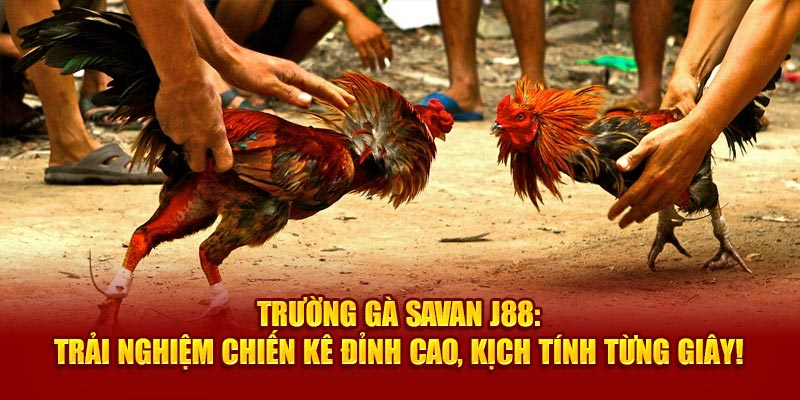 Trường Gà Savan