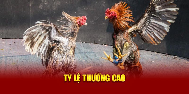 Tỷ lệ thưởng cao