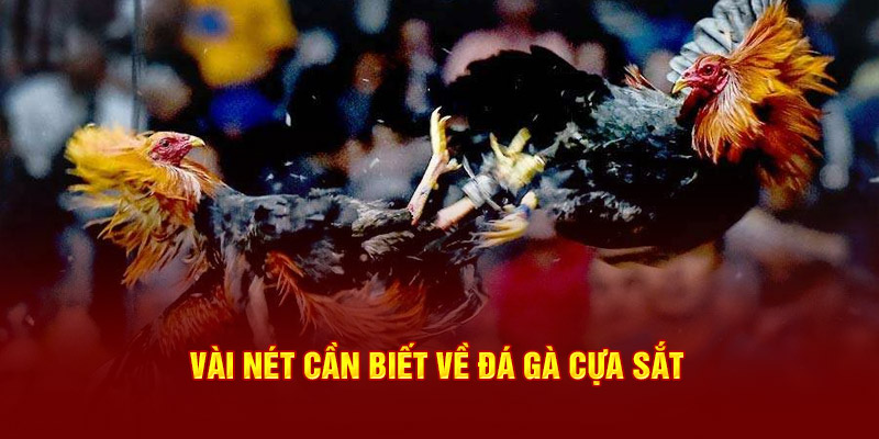 Vài nét cần biết về đá gà cựa sắt 